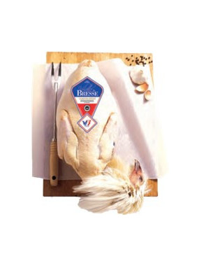 CHAPON DE BRESSE AOP EFFILE ROULE