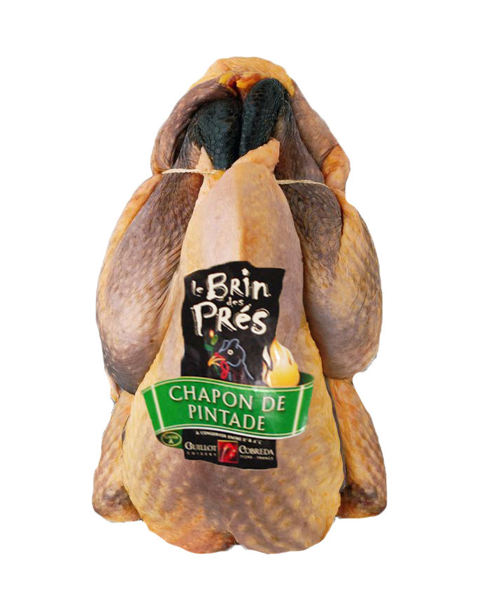 CHAPON DE PINTADE FERMIER LR BOURGOGNE PAC