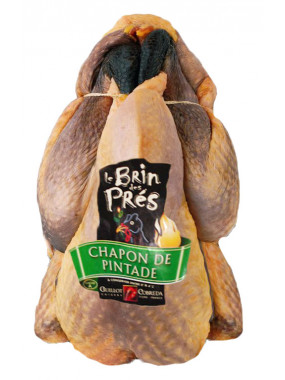 CHAPON DE PINTADE FERMIER LR BOURGOGNE PAC